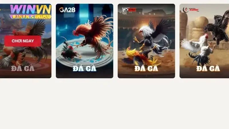 Tổng quan đá gà WINVN