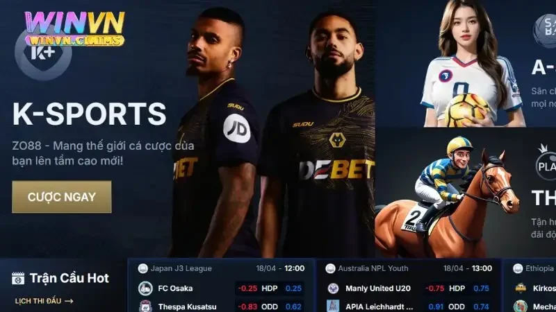 Đôi nét về cá cược thể thao WINVN